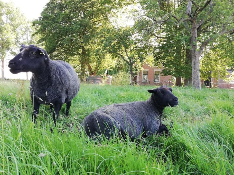 'T Winkeltje - Vakantiehuisje Op Boerderij Huize Blokland Hem Luaran gambar